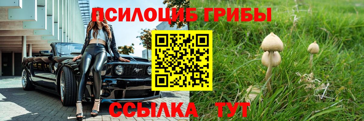 Псилоцибиновые грибы мухоморы  Галлюциногенные грибы прущие грибы  Дербент  Вход с VPN 